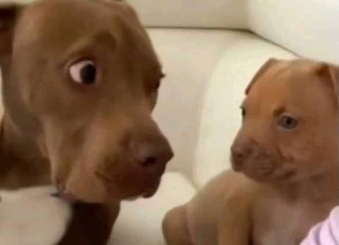 Fah 💌 tweet media