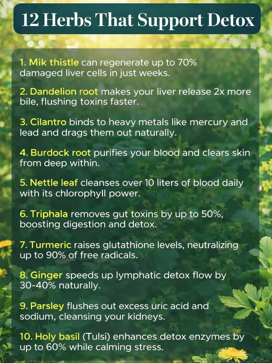 Barbara Oneill tweet media