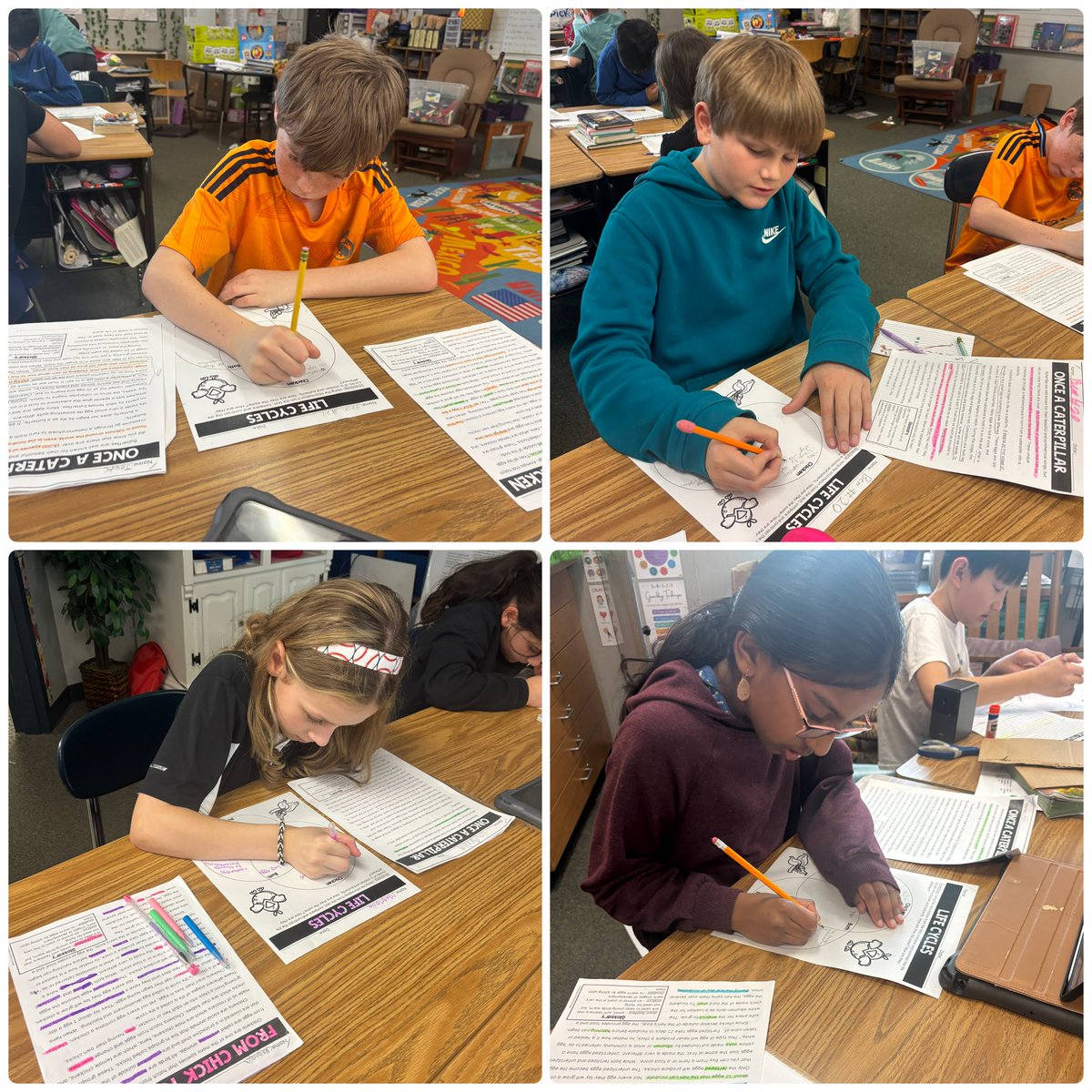 We aren’t just learning about the life cycle of a chicken… we are comparing different animal life cycles to a chicken’s life cycle!! Can’t wait to show you their research projects 🤯 <a href="/Geistgators/">Geist Elementary</a> <a href="/HSESchools/">Hamilton Southeastern Schools</a> #ALLin