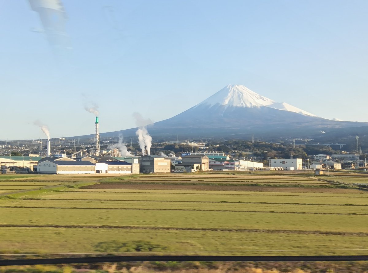 ミカり tweet media