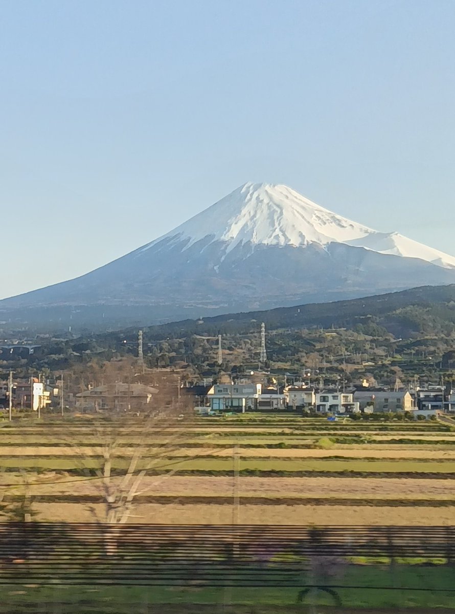 ミカり tweet media