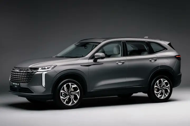 Frankito, o Curioso® tweet media