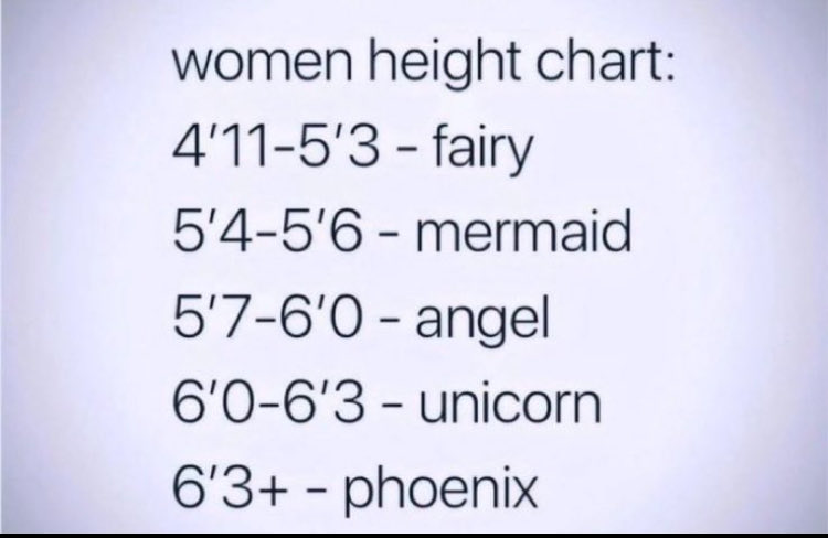 TONIANN 🌻 tweet media