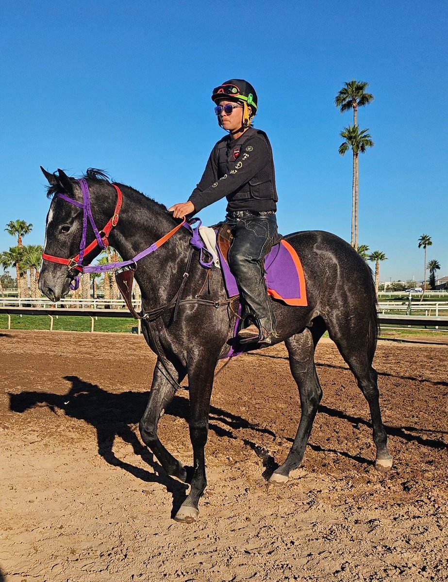 U of A Race Track Industry Program tweet media