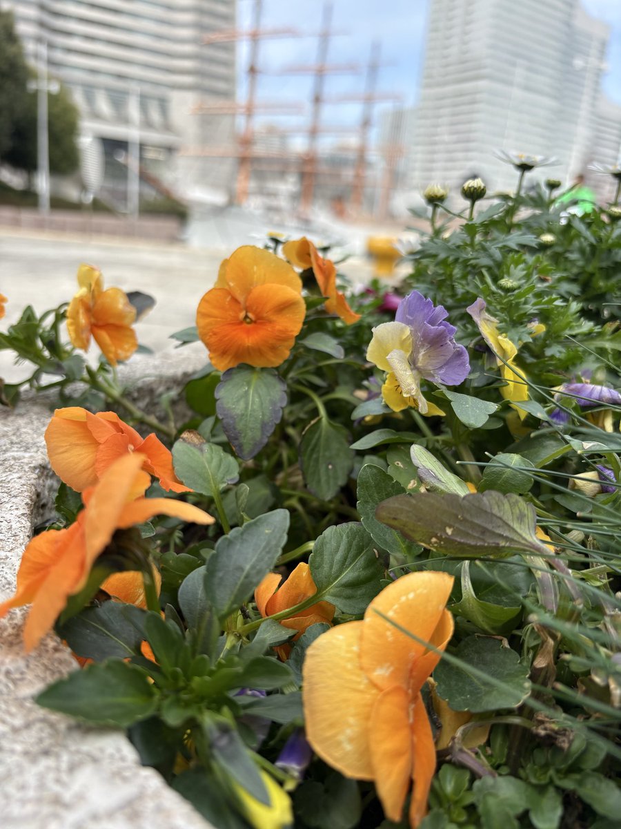 まゆこ｜ピアノで生きる力を育てる tweet media