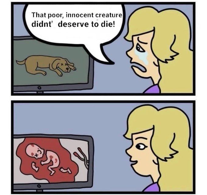 Stop Abortion Now tweet media