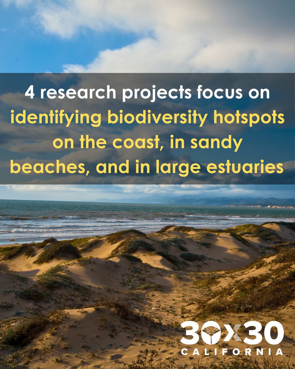 30x30 California tweet media