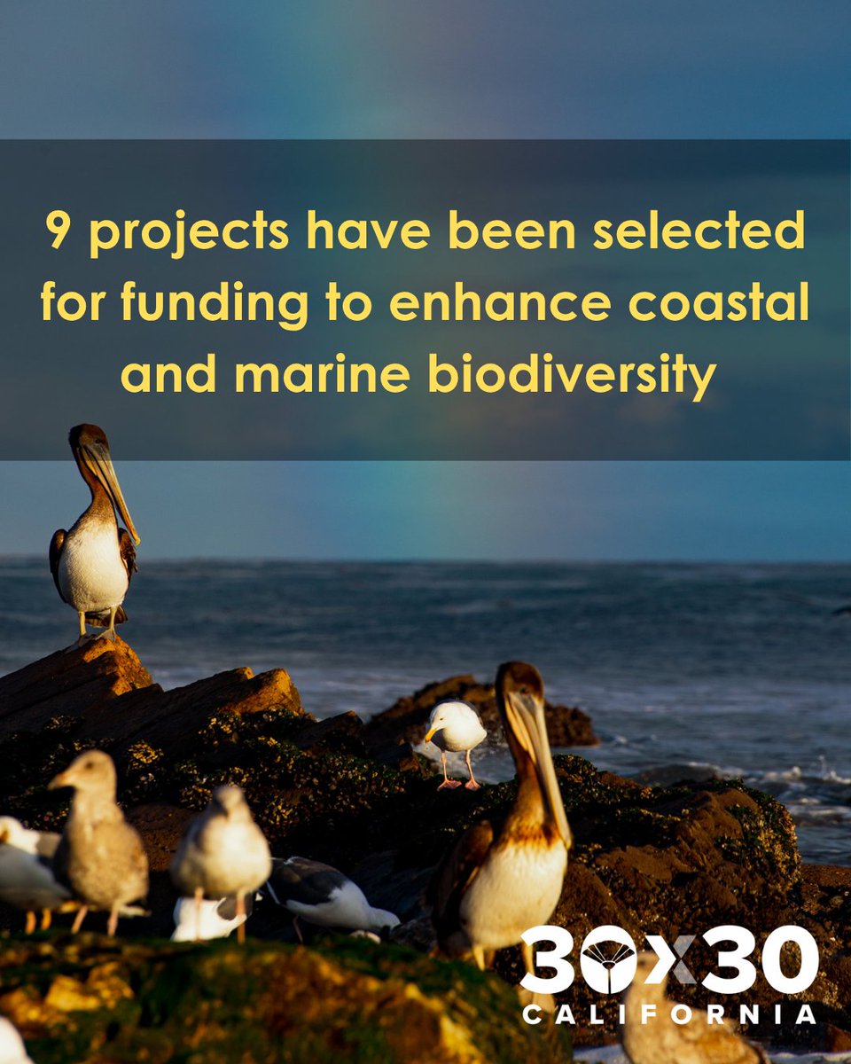 30x30 California tweet media