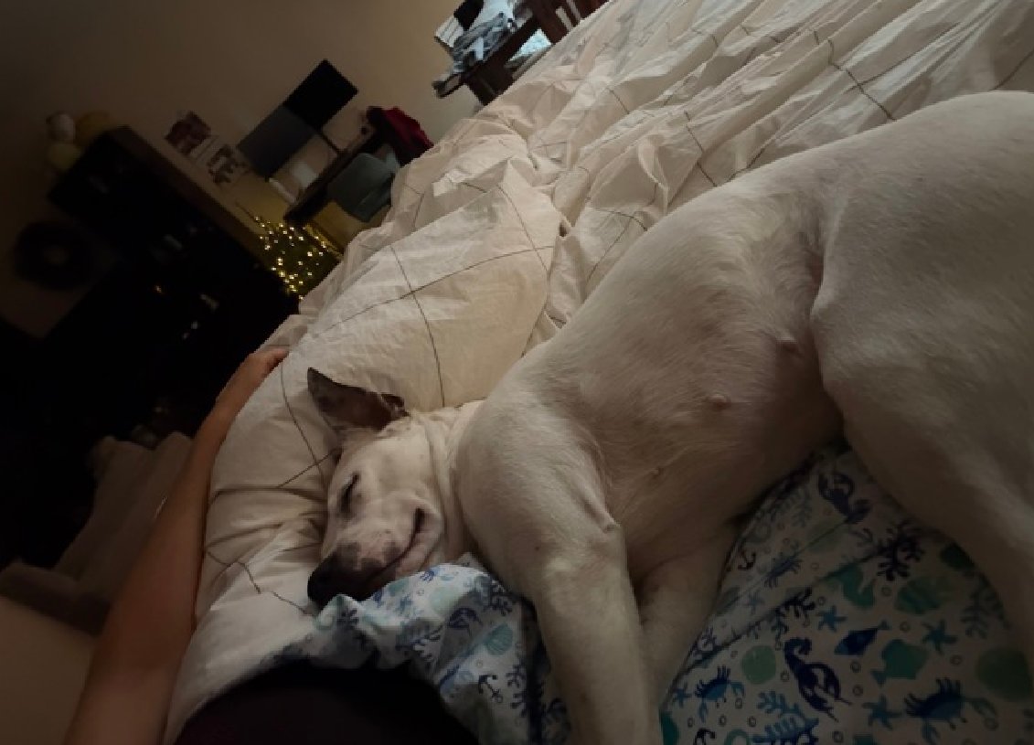 Cozy Paws🐾 tweet media