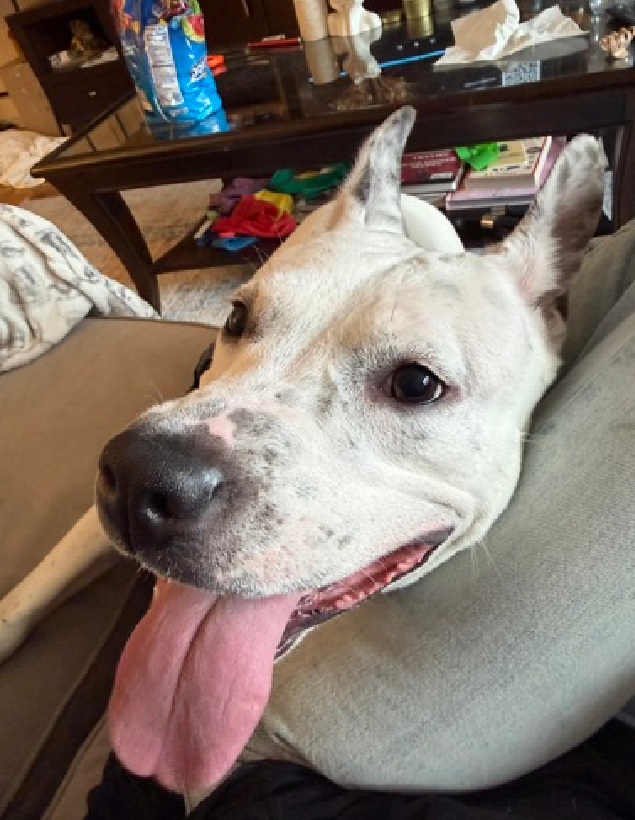 Cozy Paws🐾 tweet media