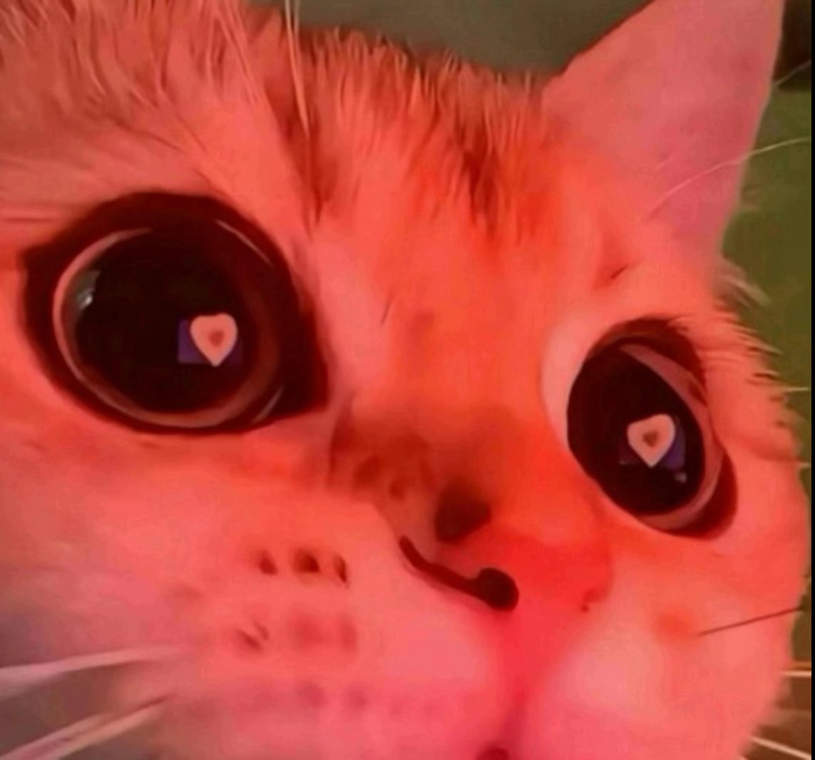 🍞Grogg 🍞 tweet media