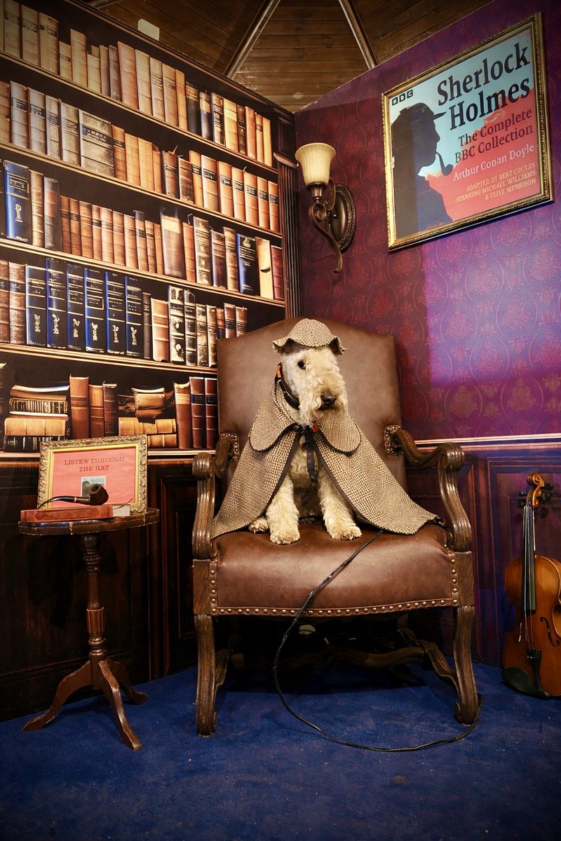 Bertie Lakeland tweet media