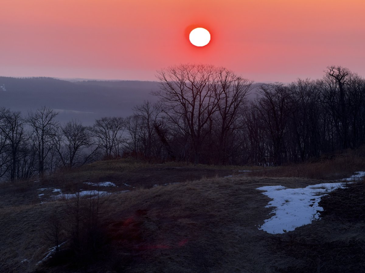 herokey turkay tweet media