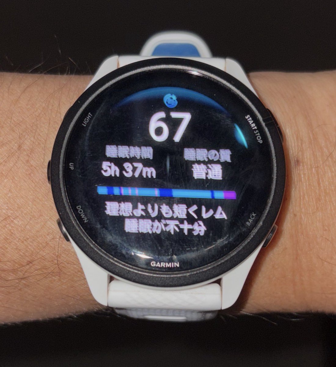 ざるざる・サード (4/19かすみがうら、5/9君津ウルトラ） tweet media