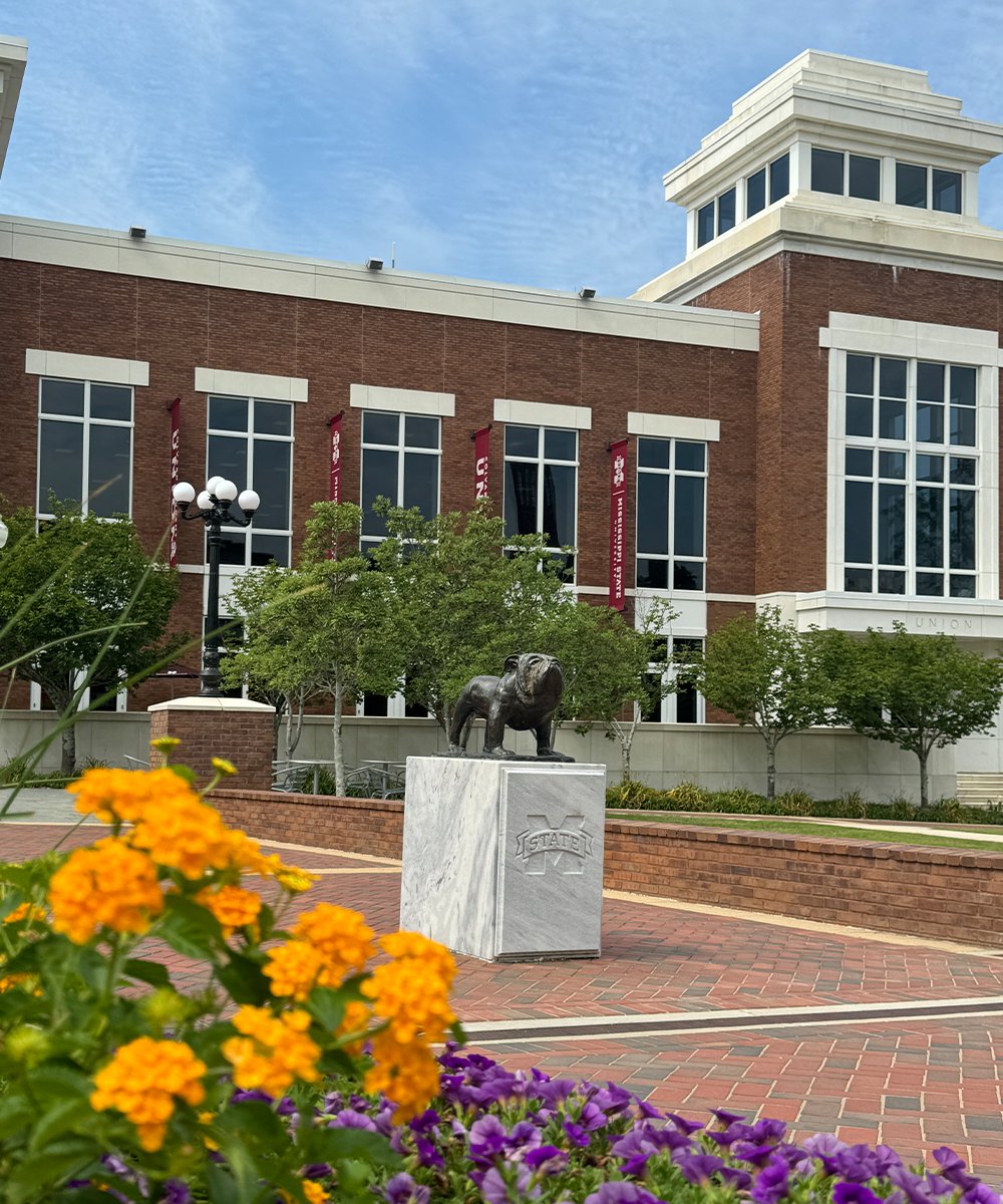Mississippi State Alumni tweet media