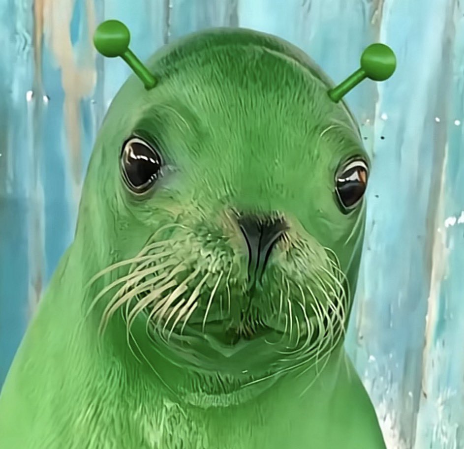 SobrietyMolestor🚩🏴 tweet media