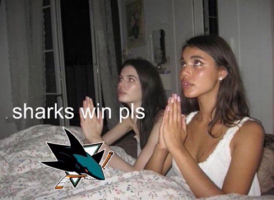 Lucas 🦈🏒 🧶 tweet media