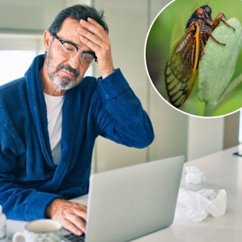 Nick Hinton tweet media