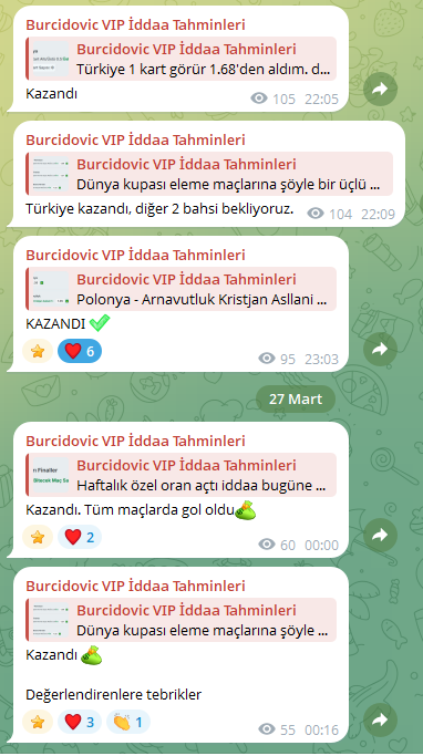 burćidovic tweet media