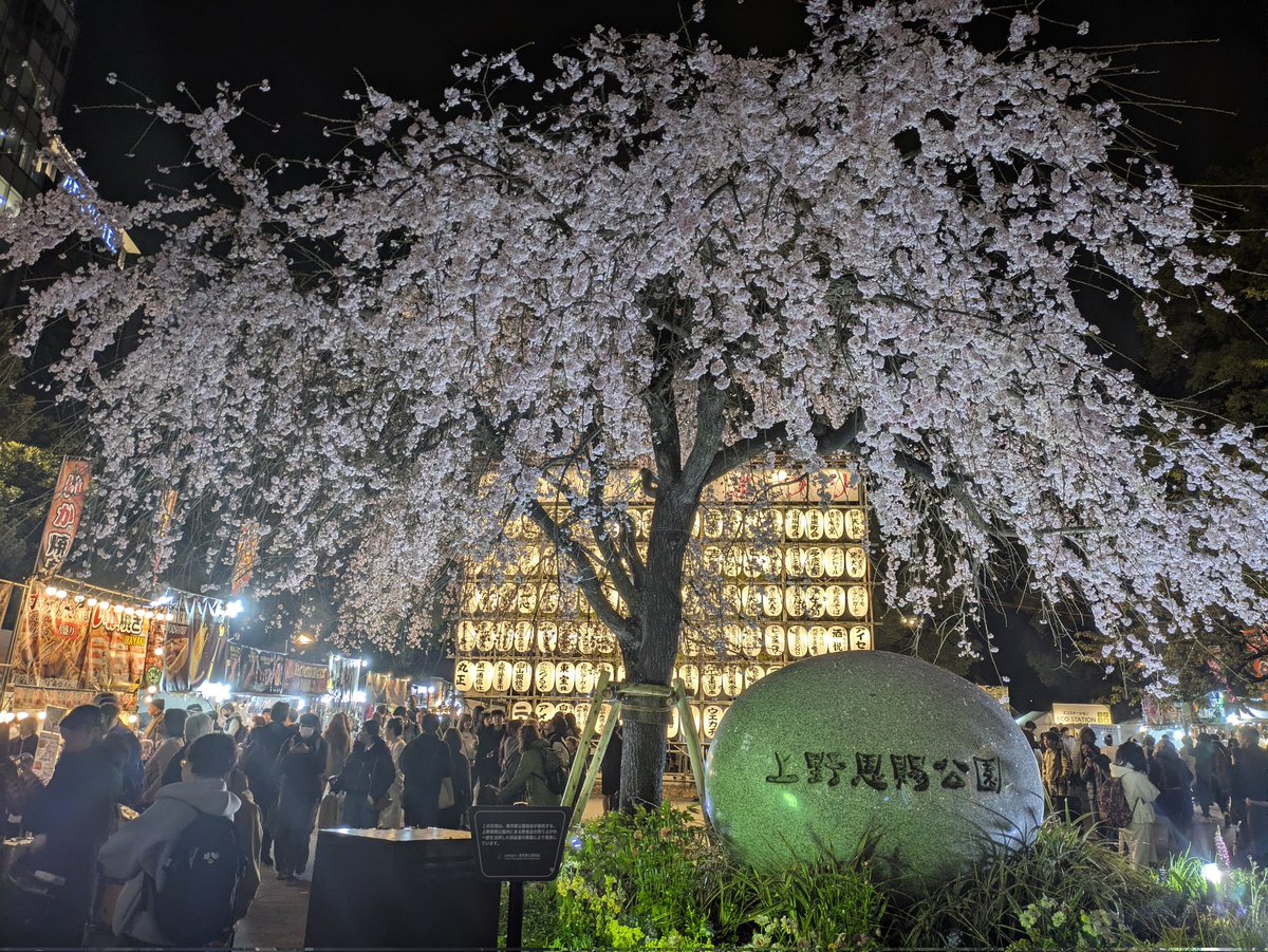 とりあえず仮名 tweet media