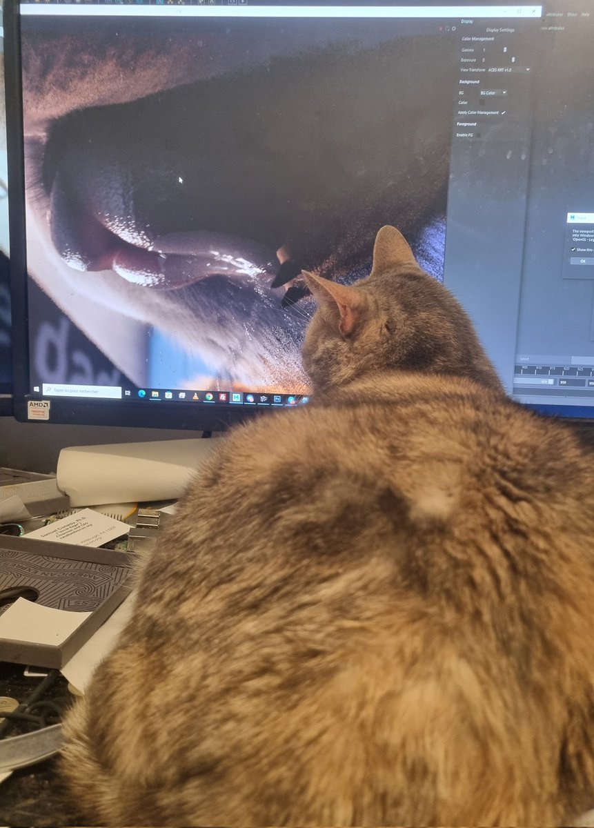 h0rs3 Animations 🔞 tweet media