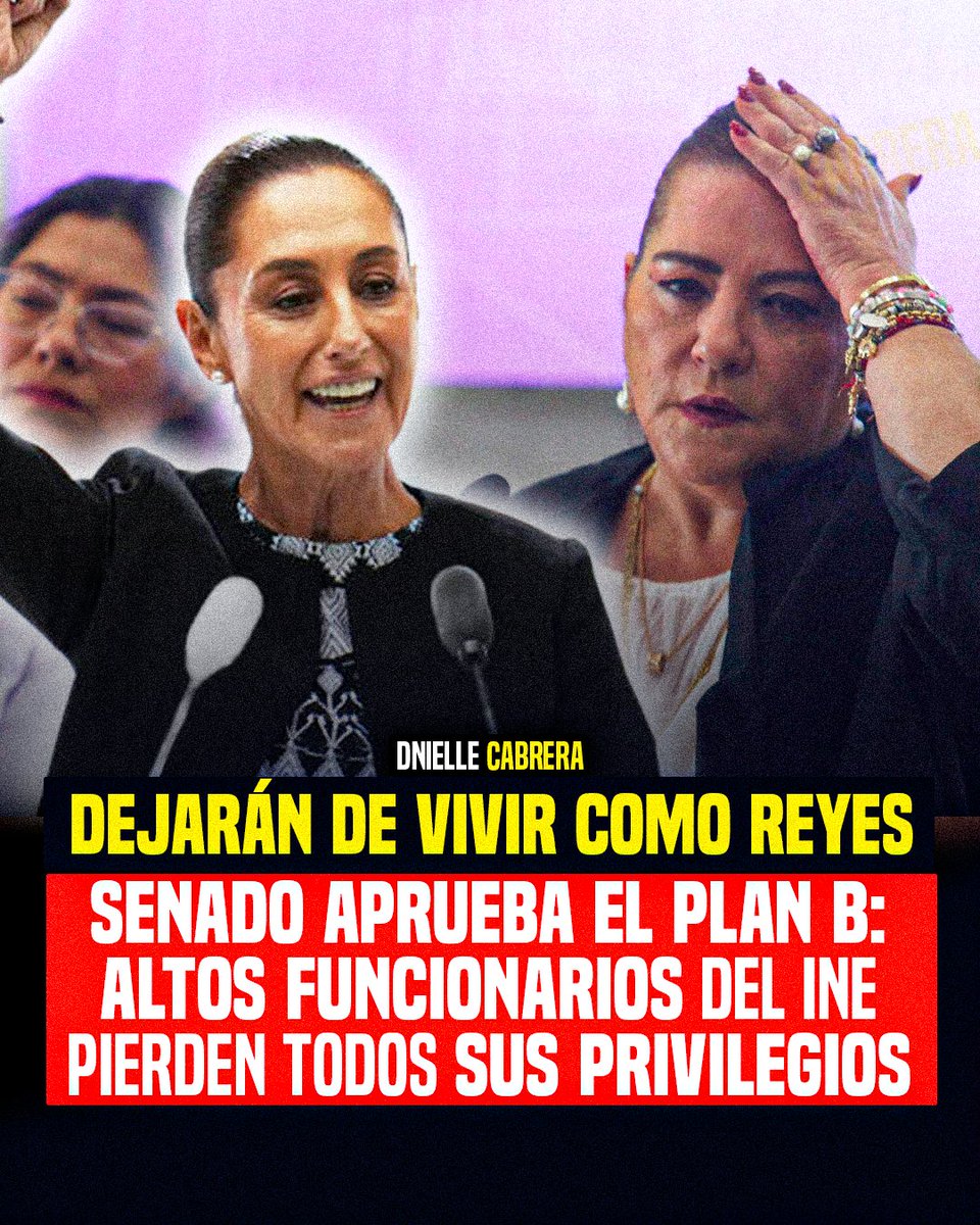 DnielleCabrera tweet media