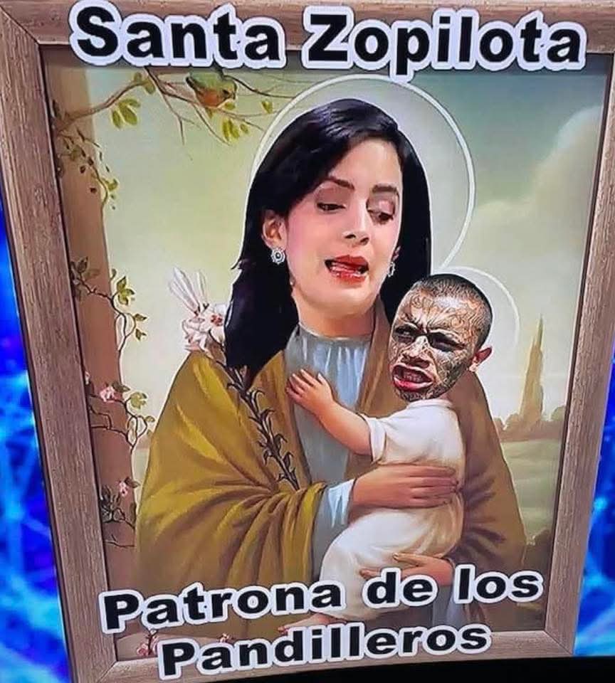 Aloguanaco El Pastor De Las Focas tweet media