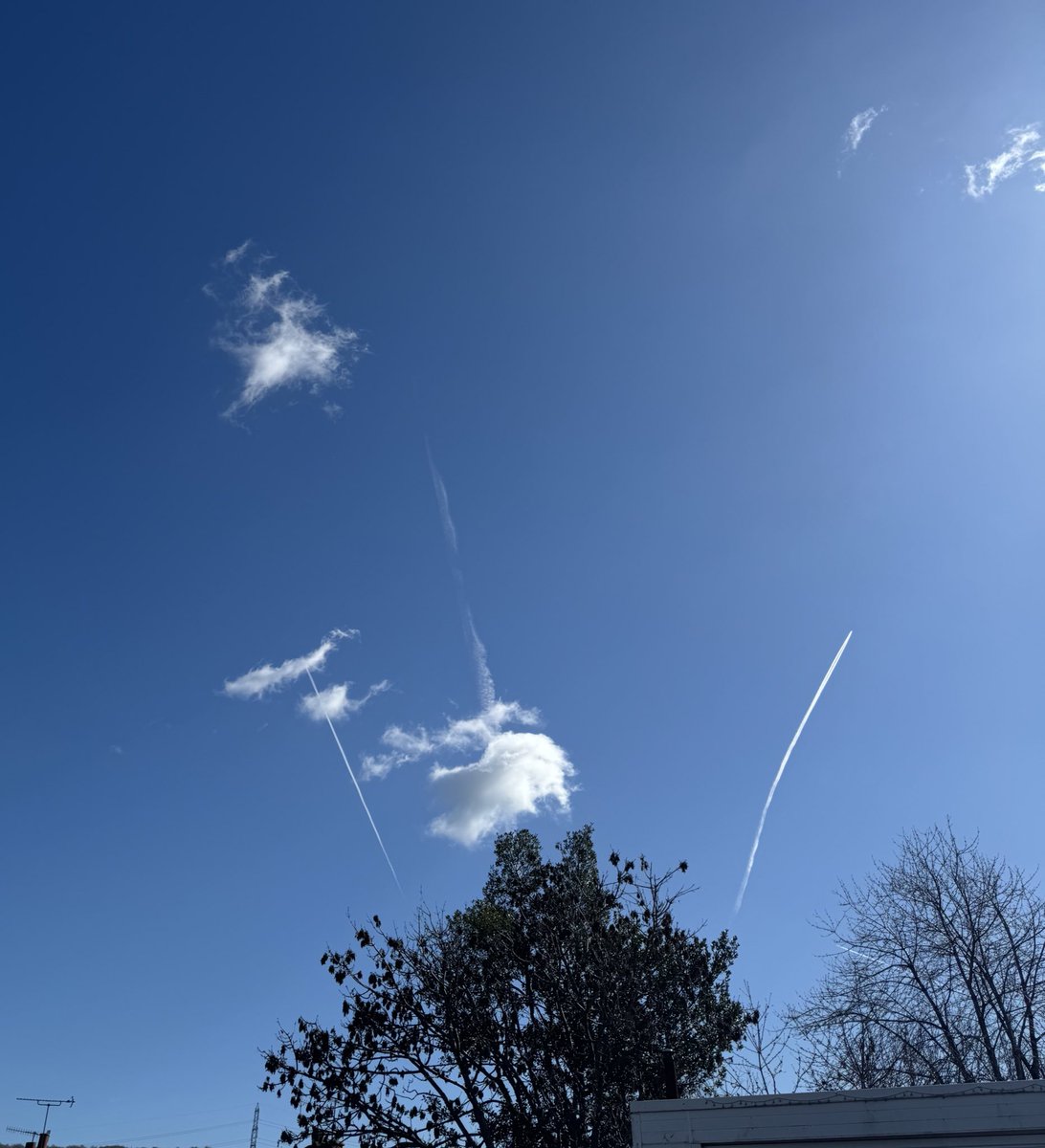 TheMoustacheCop tweet media