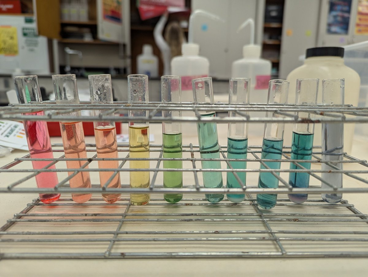 HamikChem's tweet photo. Year 2 with this demo, and I think we got an even better selection of salts! Deep purple found after class with sodium carbonate- will note for next year. #APchem #BurkeChem
Pictured: salts hydrolysis with universal indicator https://t.co/U9KwsOPiyV