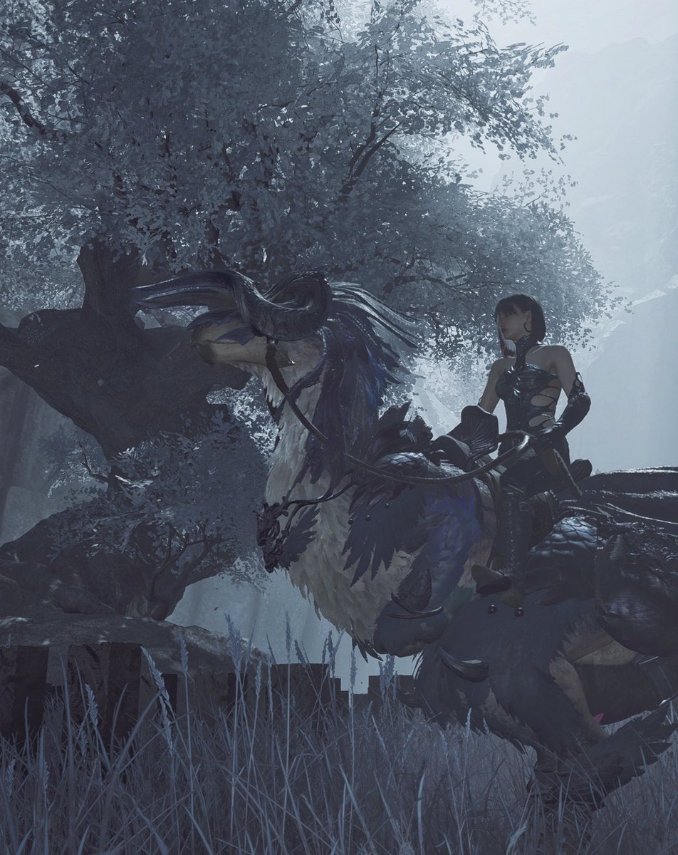 焔 - キョロちゃん - tweet media