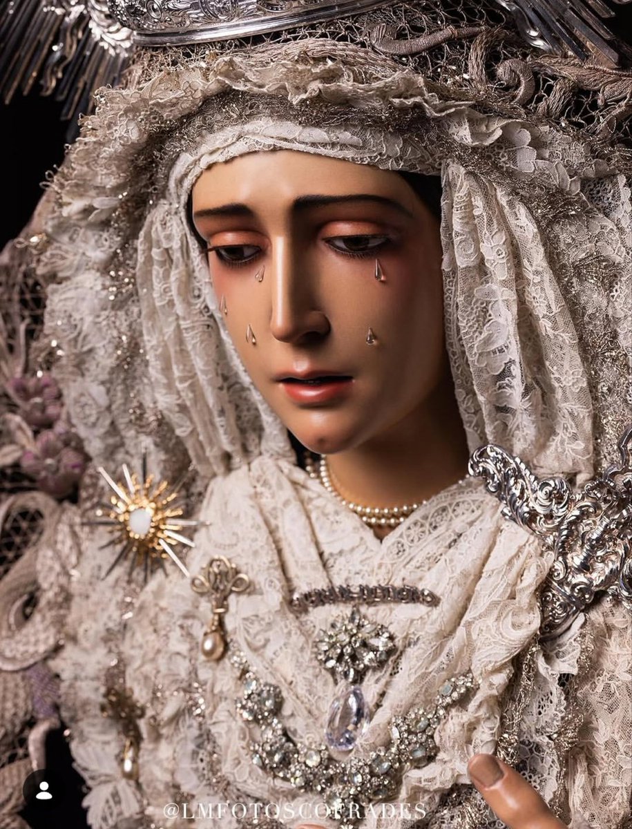 F. J. Flores Matute tweet media