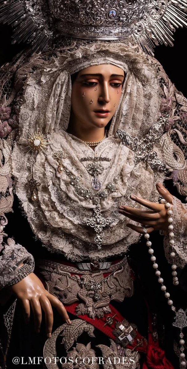 F. J. Flores Matute tweet media