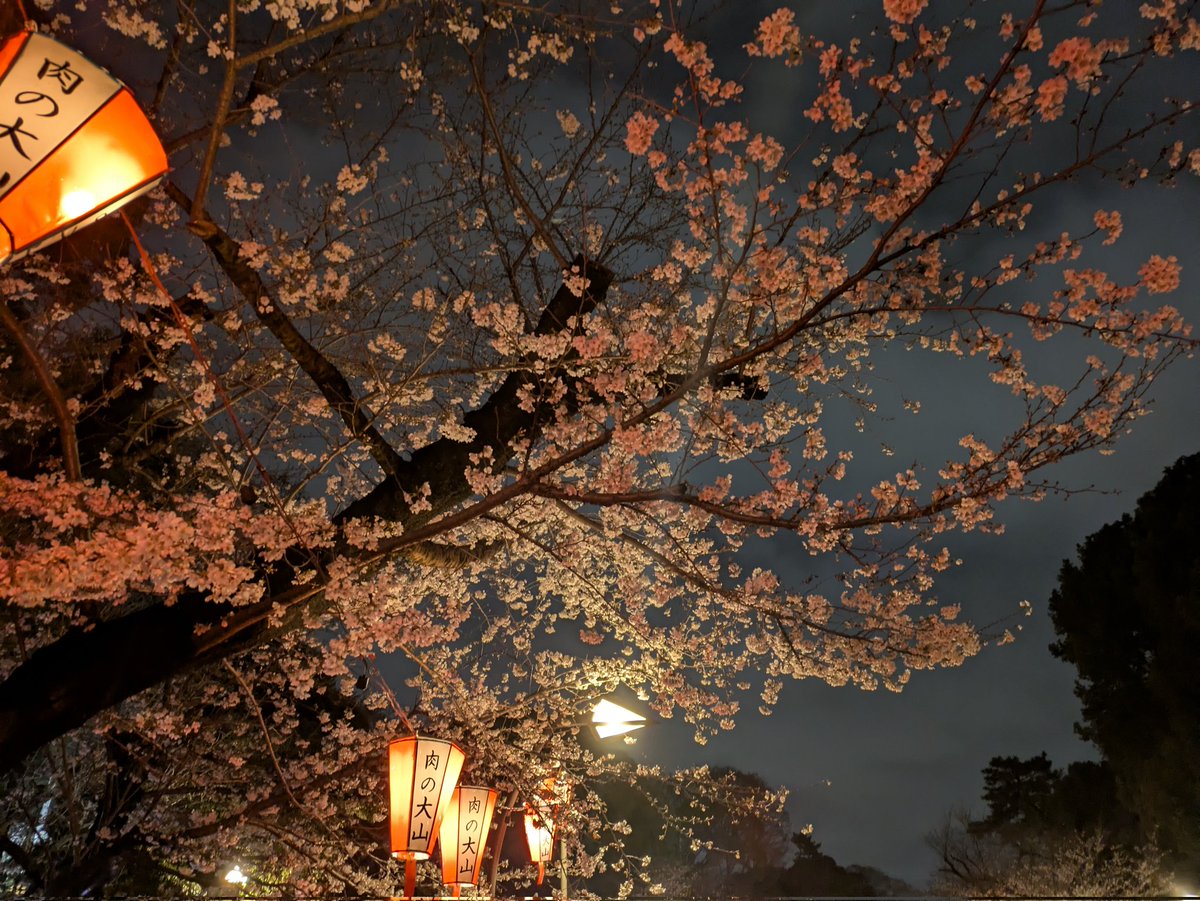 とりあえず仮名 tweet media