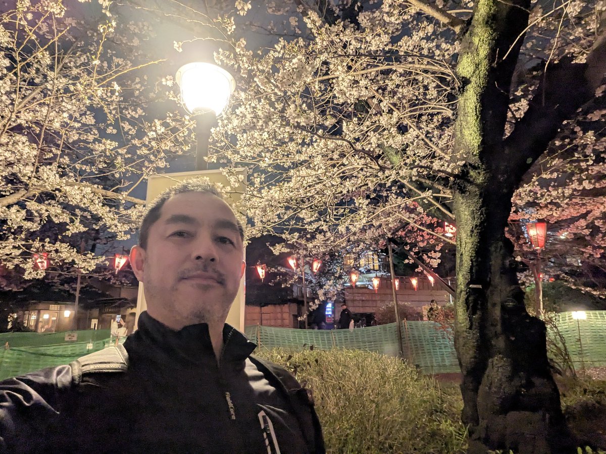 とりあえず仮名 tweet media