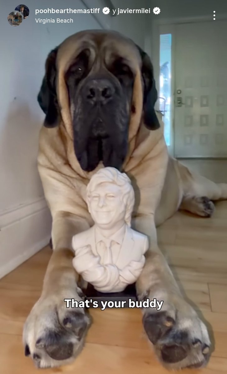 Sailor Satan tweet media