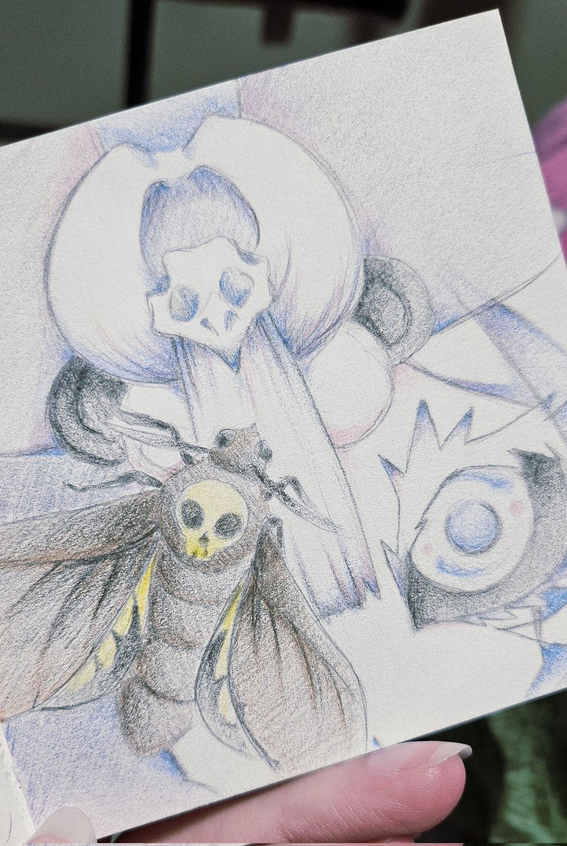 🌸Hanayome🌸 Orchid Mantis Vtuber🔪 tweet media