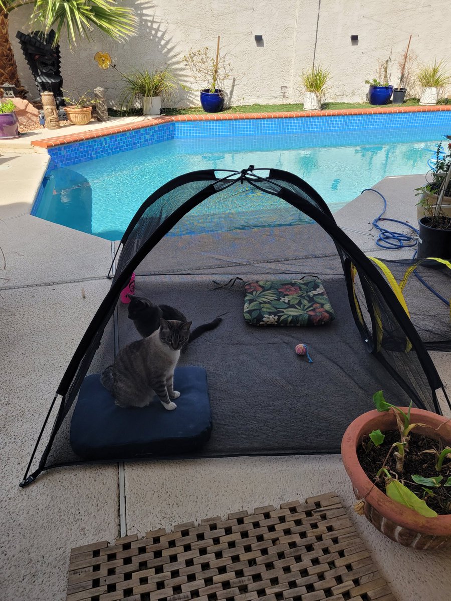 Kendra James ™️ 💥 KendraJames.com 💥 tweet media