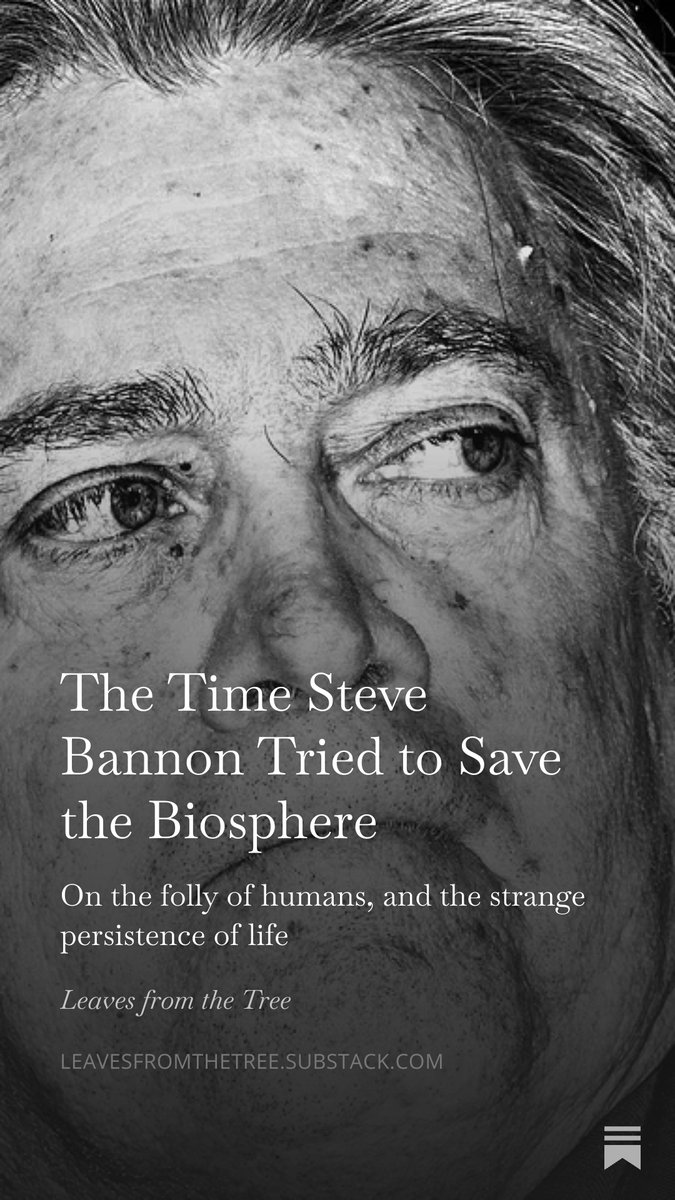lukejharmon's tweet photo. Making fun of Steve Bannon is so easy: https://t.co/vu3nj0ZMx8 https://t.co/1tCaVbIfO4