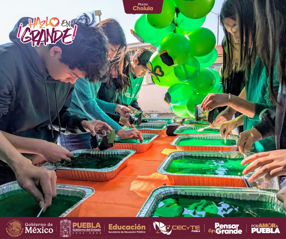 🍀 En el CECyTE Cholula celebramos el Día de San Patricio con actividades en inglés que fortalecen el aprendizaje de forma dinámica. 🇮🇪📚
#CECyTEPuebla #PensarEnGrande #HazloEnGrande #PorAmorAPuebla