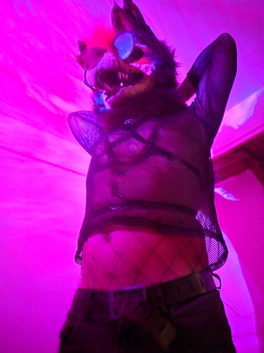 ZevenGrowls➡️Howl2026 tweet media