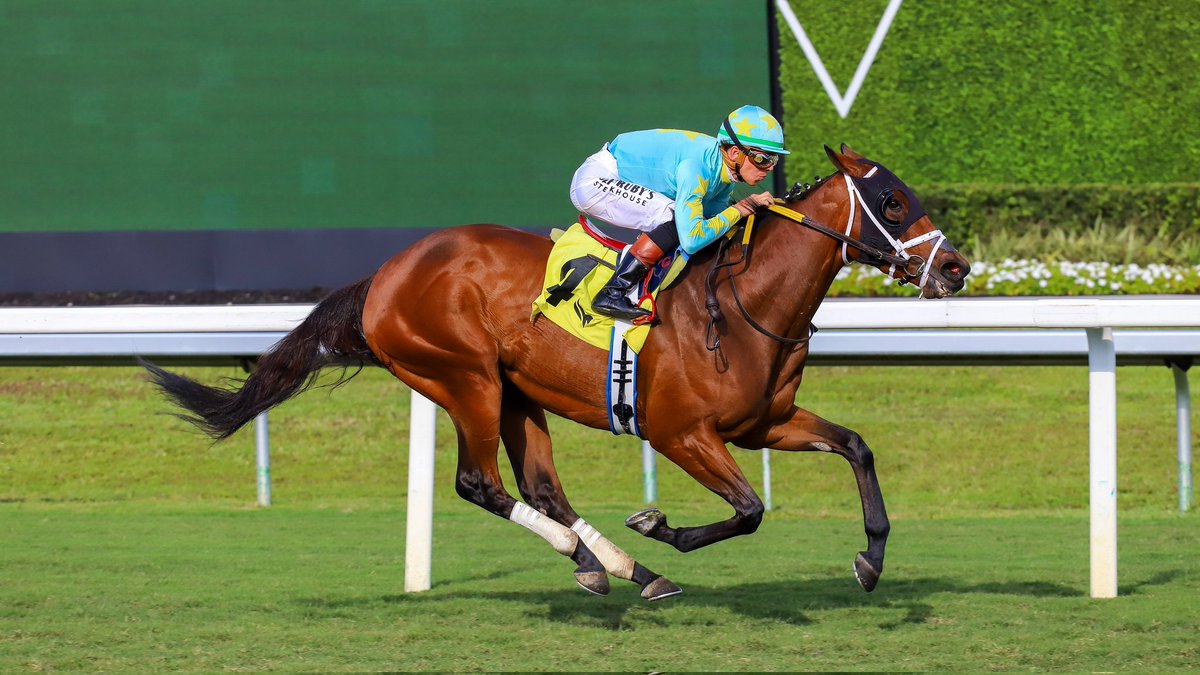 Gulfstream Park tweet media