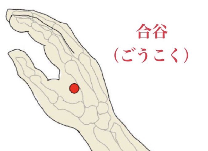 めにみえ(目に見えない不思議) tweet media