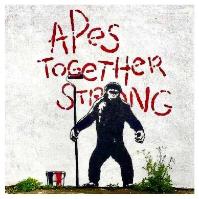 Apes Together Strong tweet media