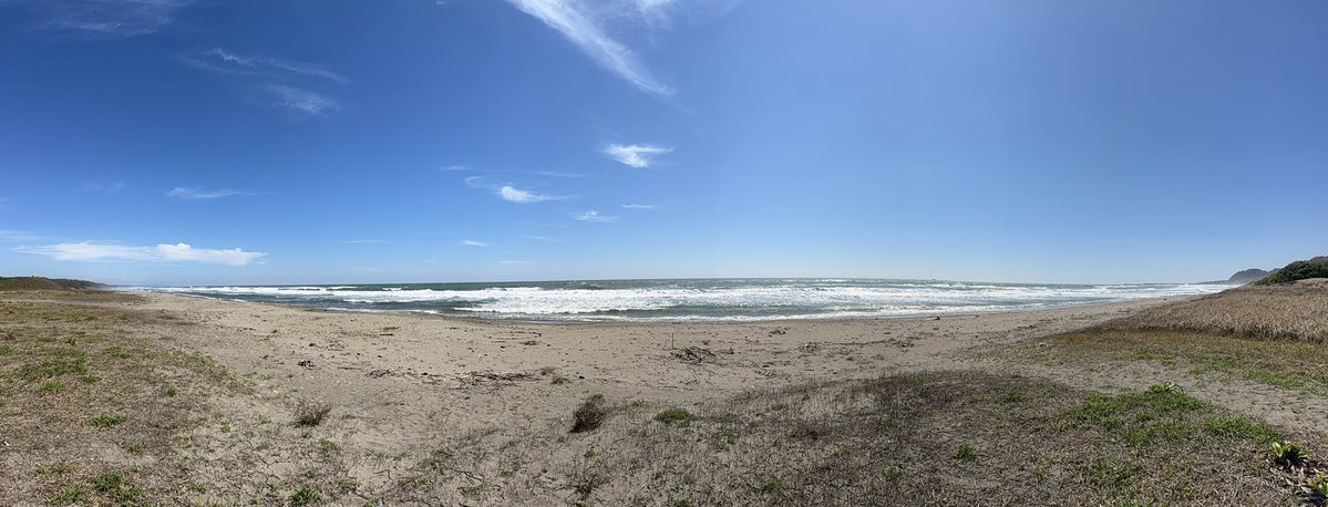 🏍SILVER@BLACK CBR1000RR🏍 tweet media