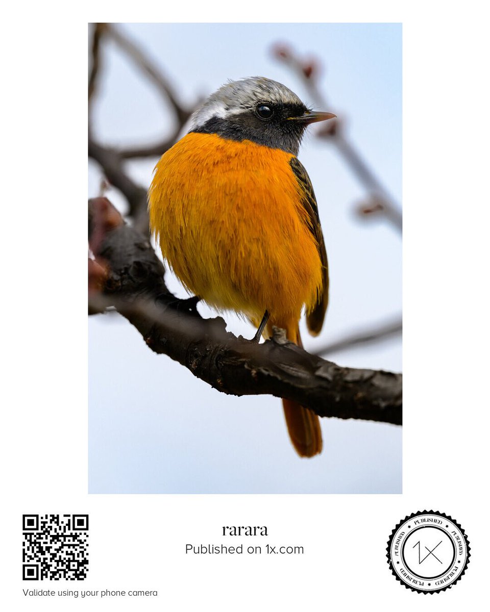 ららら♪📸🕊𓂃𓂂𓏸♡ tweet media