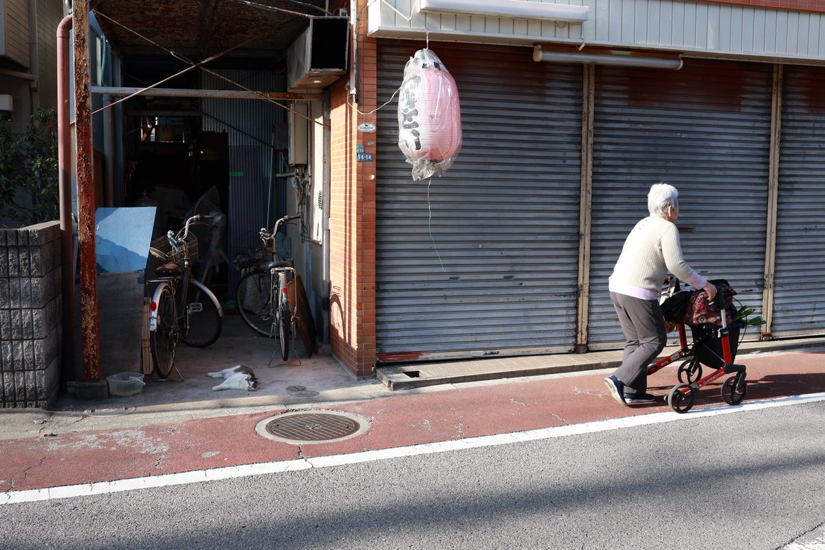 roppe (@enbundaisukii) on Twitter photo 