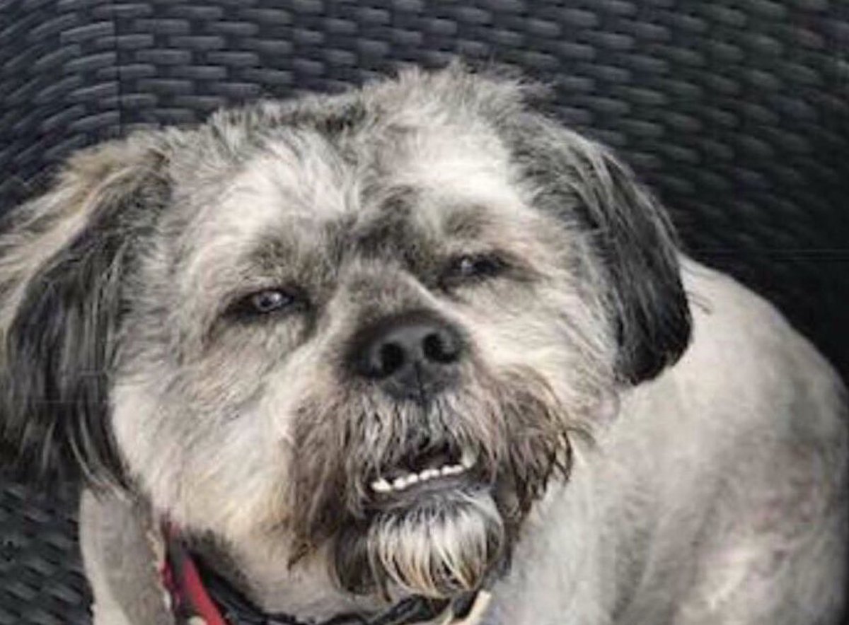 Sam the Jedi tweet media