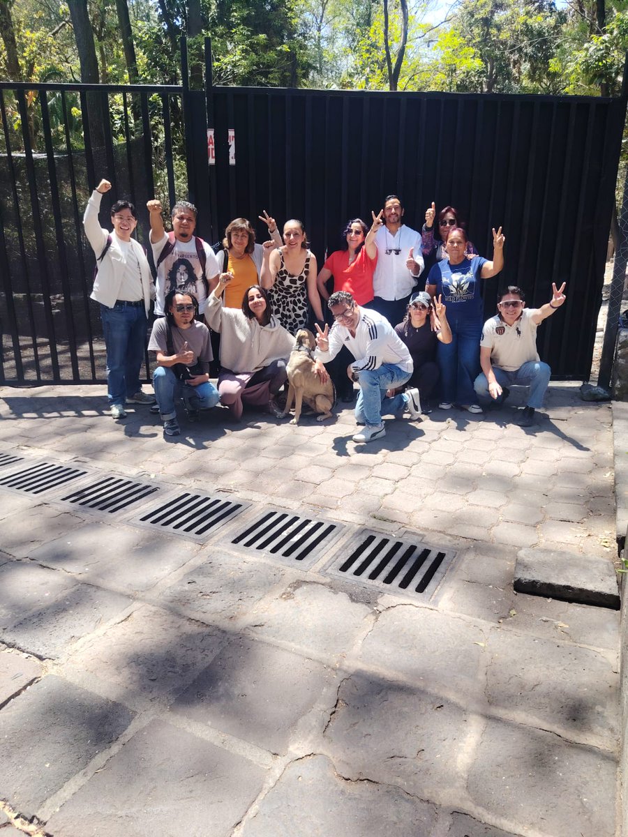 violetajajaja's tweet photo. ¡SE LOGRÓ! Alicia en el país de las maravillas: CLAUSURADO. En un espacio público que es de todas y todos. 🎉🎉🎉 https://t.co/Bljq27xMgp