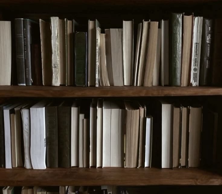 lucía ౨ৎ tweet media