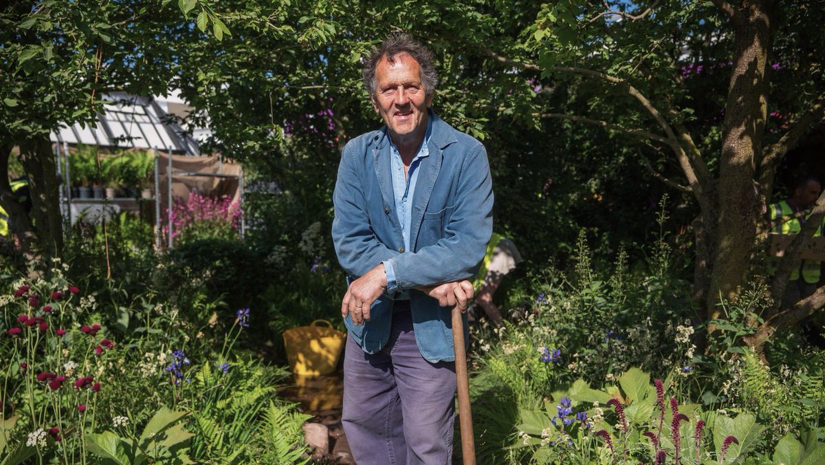 derek guy tweet media